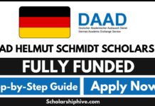DAAD Helmut Schmidt Scholarship 2027 DAAD Helmut Schmidt Scholarship