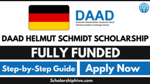 DAAD Helmut Schmidt Scholarship