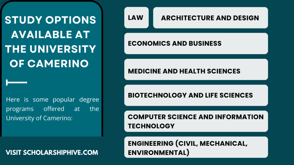 Poster showing study options at University of Camerino Italy including Engineering, Law, Medicine, Economics, Architecture, Biotechnology, Computer Science, and Humanities for international students with scholarship opportunities.